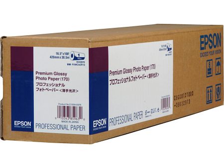 EPSON Premium Glossy Photo Paper (170) 16.5  x 100  S042076 Cheap