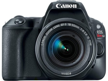 Canon EOS Rebel SL2 EF-S 18-55mm STM Digital Camera Kit Cheap